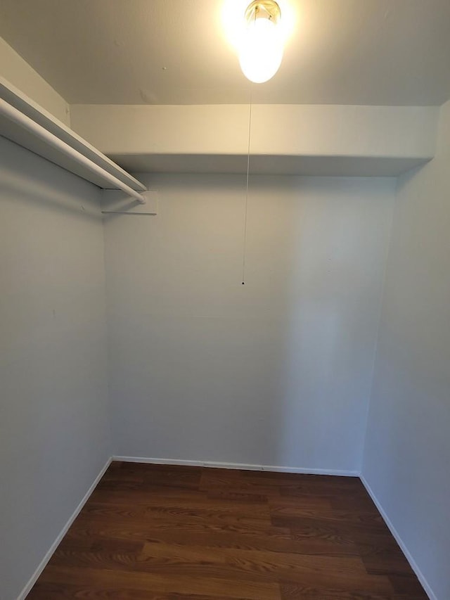 walk in closet with dark wood finished floors