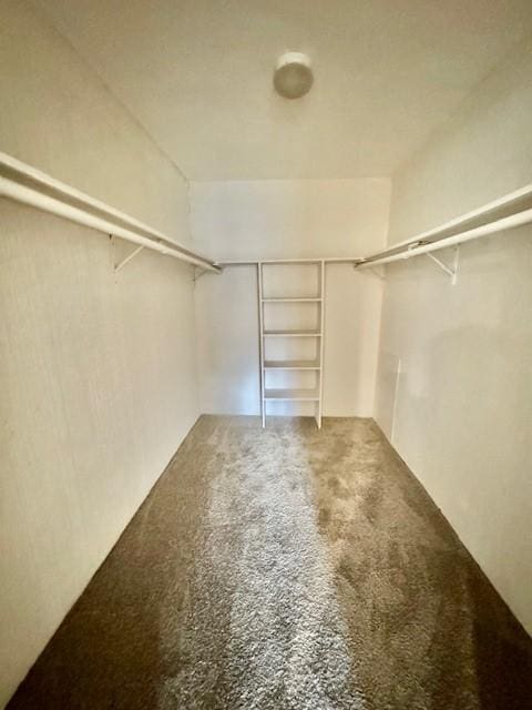 spacious closet with carpet flooring