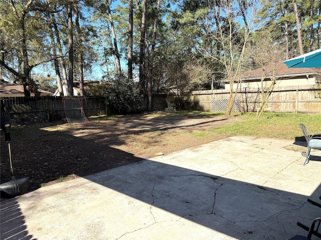 view of yard featuring a fenced backyard and a patio