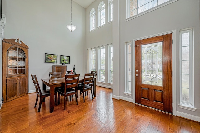 dining area featuring baseboards and wood-type flooring