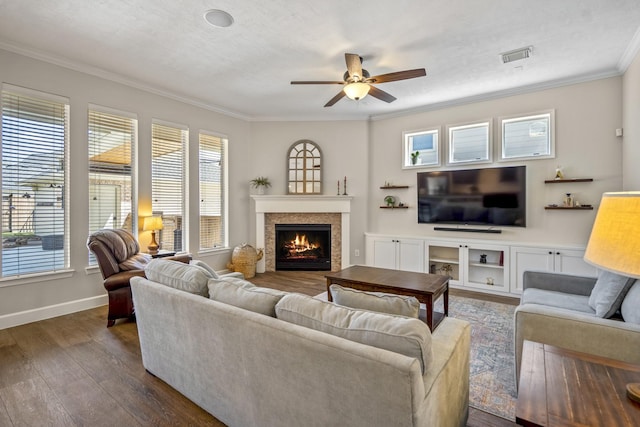 living room featuring visible vents, a ceiling fan, a warm lit fireplace, dark wood finished floors, and crown molding