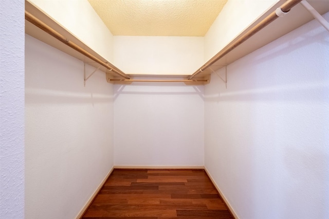 spacious closet featuring wood finished floors