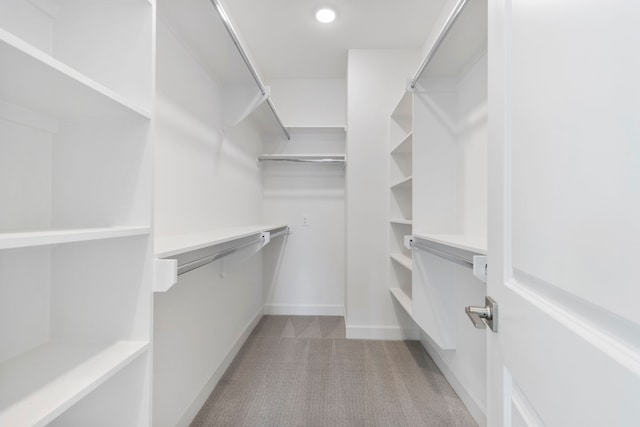 spacious closet with light colored carpet