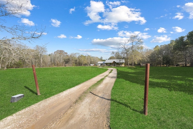 view of road with dirt driveway