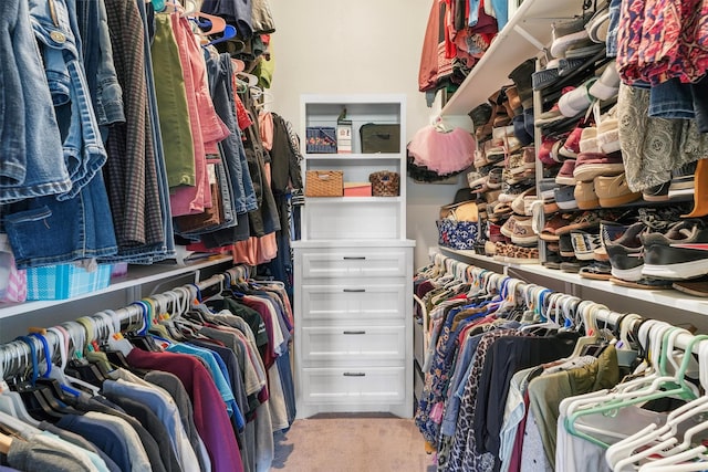 spacious closet featuring light carpet