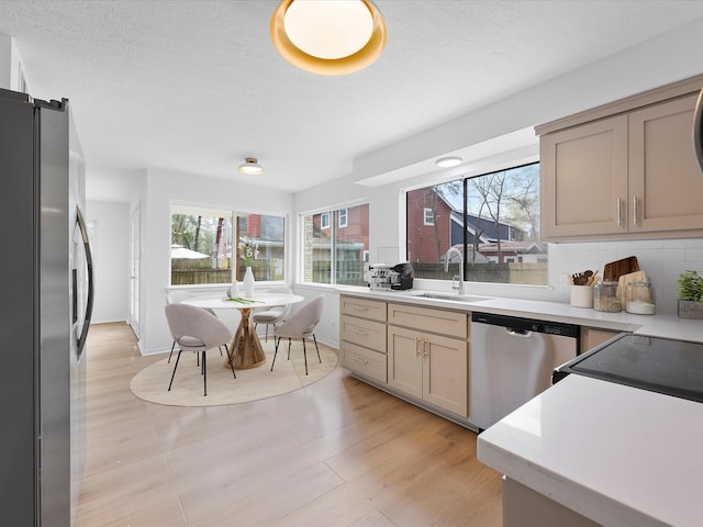 kitchen with light wood finished floors, backsplash, a wealth of natural light, stainless steel appliances, and a sink