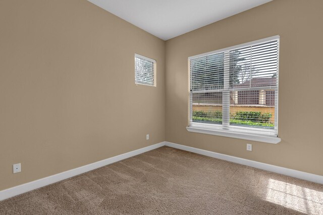 carpeted empty room featuring a healthy amount of sunlight and baseboards