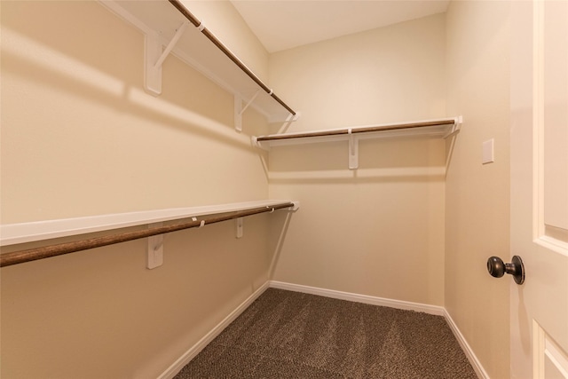 walk in closet with dark colored carpet