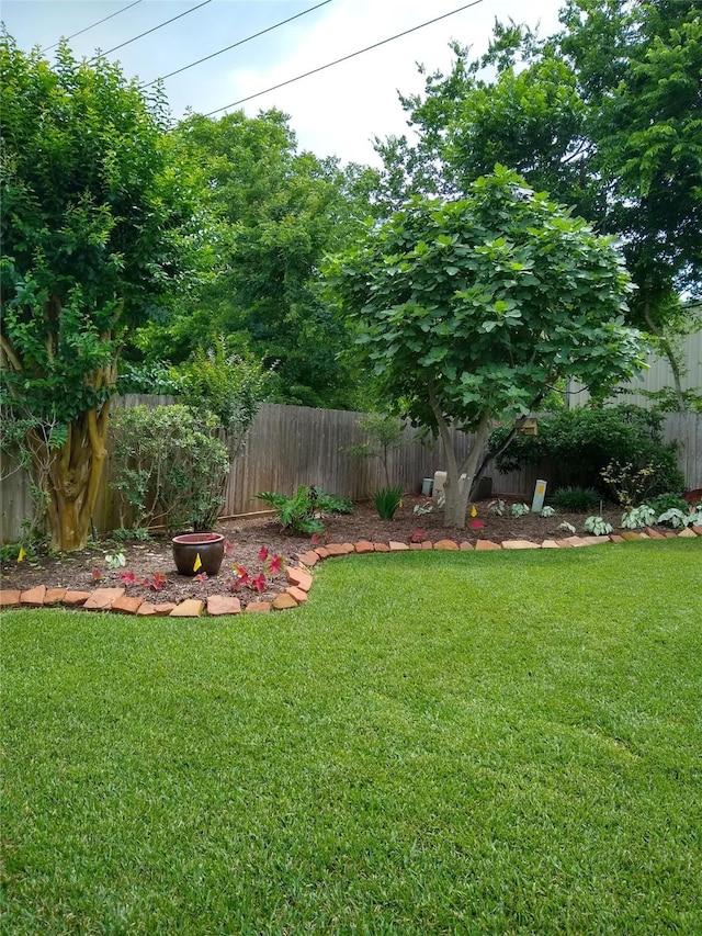 view of yard with fence private yard