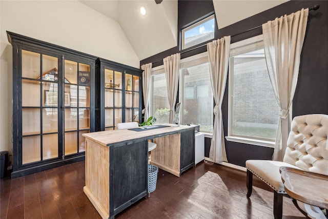 office space featuring dark wood finished floors and lofted ceiling