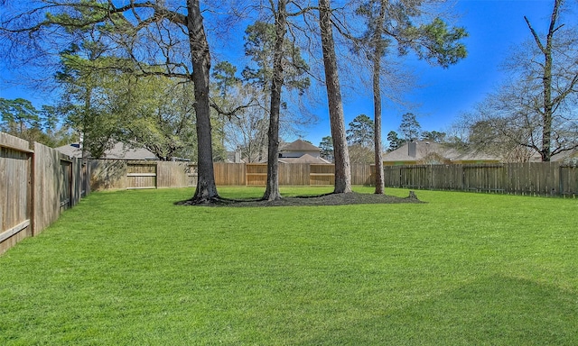 view of yard with a fenced backyard