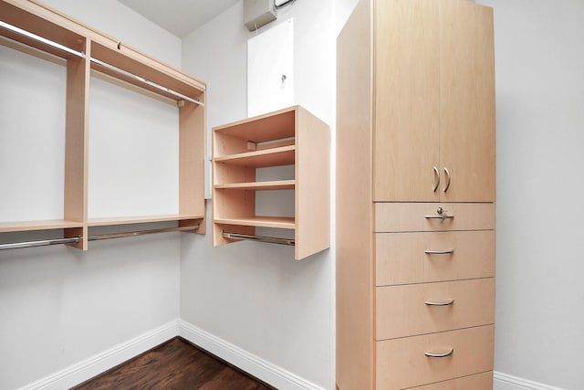 walk in closet featuring dark wood-type flooring