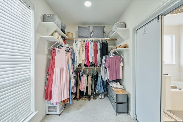 spacious closet featuring carpet flooring