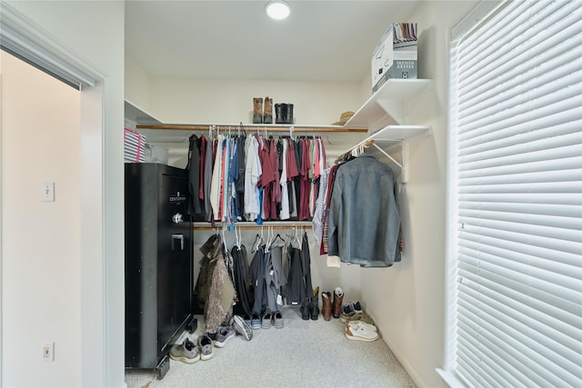 spacious closet with carpet