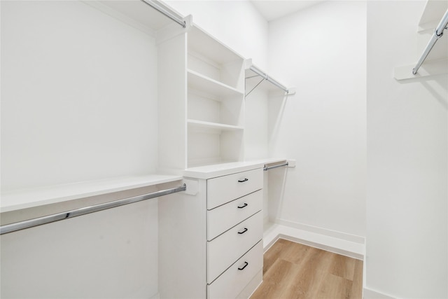 spacious closet featuring light wood finished floors