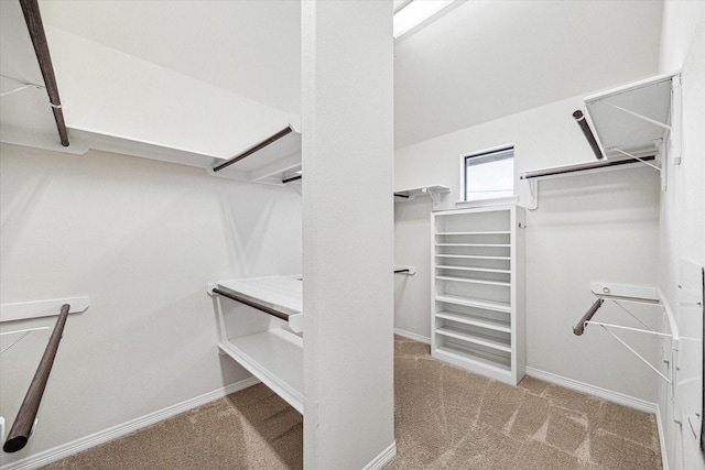 walk in closet featuring carpet flooring