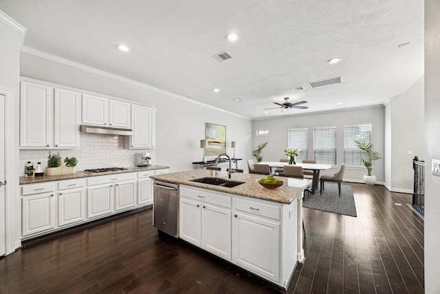 kitchen featuring under cabinet range hood, visible vents, stainless steel appliances, and a sink