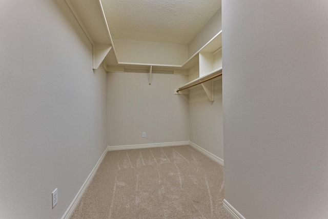 spacious closet with light colored carpet