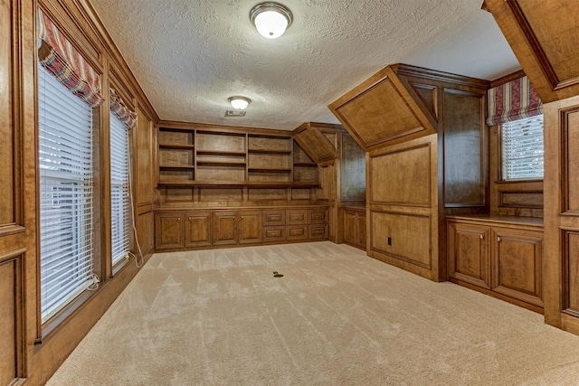 additional living space with built in shelves, wood walls, light carpet, a decorative wall, and a textured ceiling