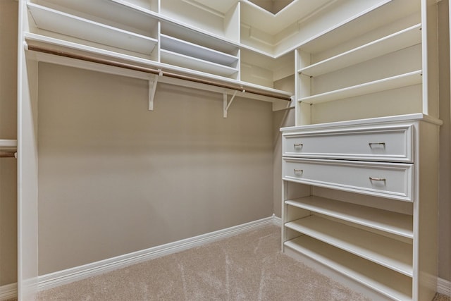 spacious closet with carpet