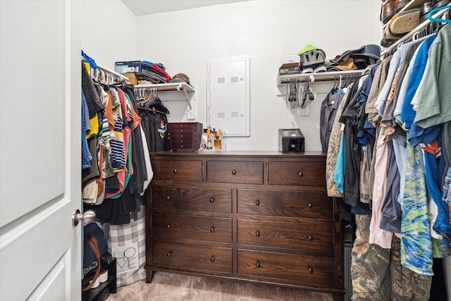 walk in closet with carpet flooring