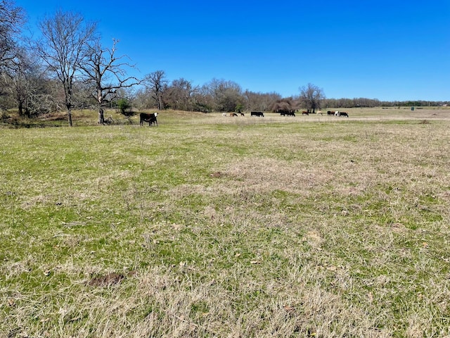 TBD1 Templeton Rd, Hearne TX, 77859 land for sale