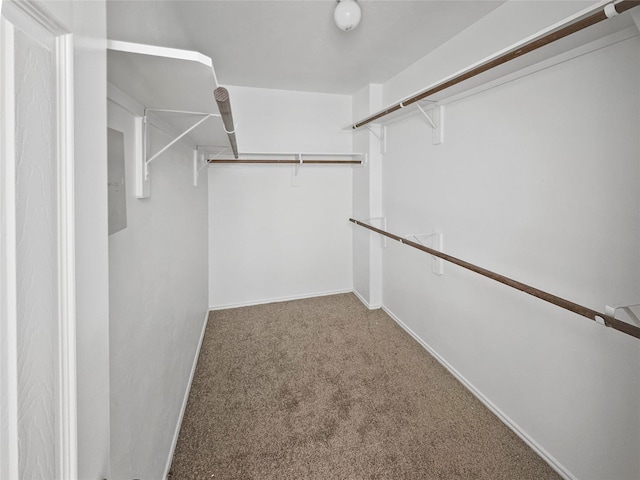 walk in closet featuring carpet