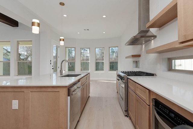 kitchen featuring a sink, plenty of natural light, backsplash, stainless steel appliances, and wall chimney exhaust hood