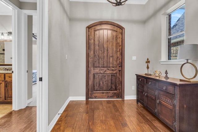 entrance foyer with baseboards and wood finished floors