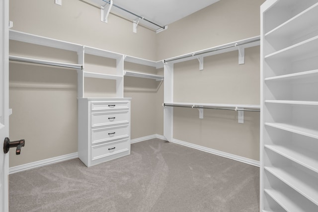 spacious closet with carpet flooring