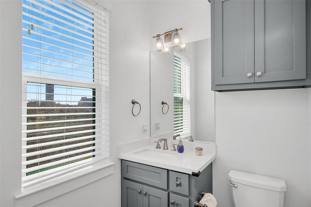 bathroom with toilet and vanity