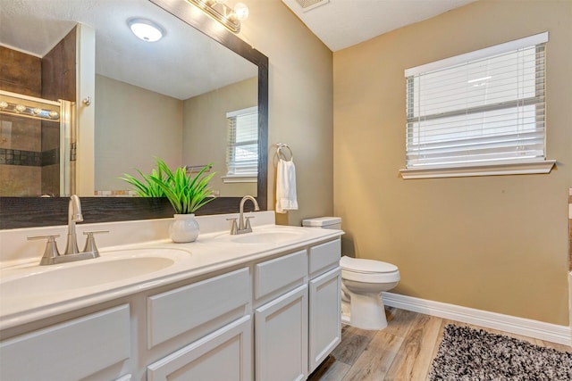 full bathroom featuring a shower stall, toilet, wood finished floors, and a sink