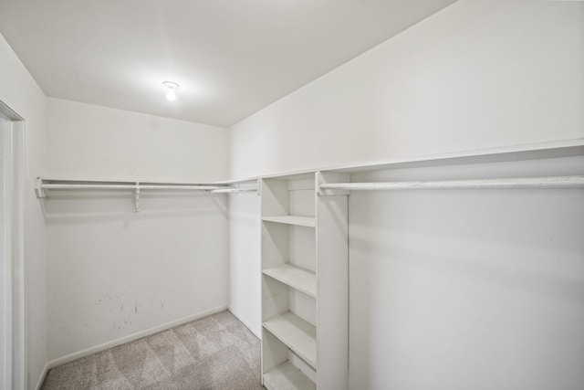 spacious closet with carpet floors