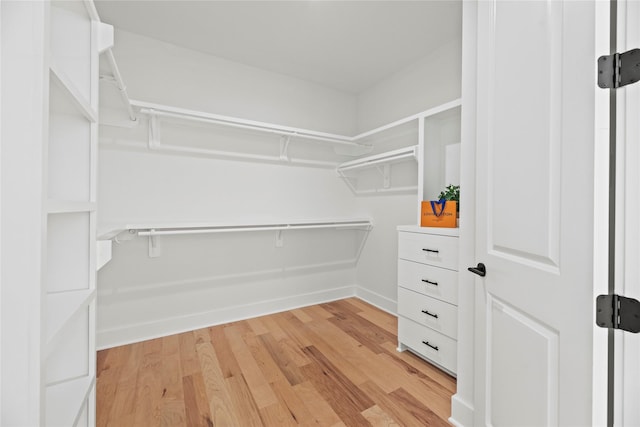 walk in closet with light wood-style flooring