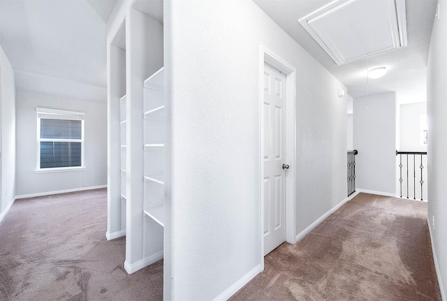 hallway featuring baseboards, carpet, and attic access