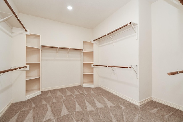 spacious closet featuring carpet