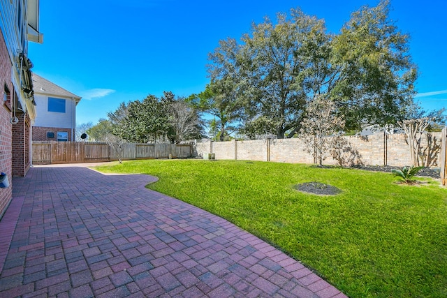 view of yard featuring a fenced backyard and a patio area