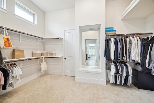 walk in closet featuring carpet floors