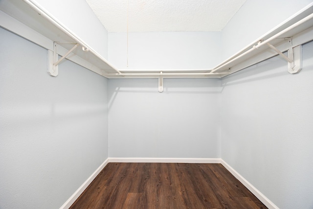 spacious closet featuring wood finished floors