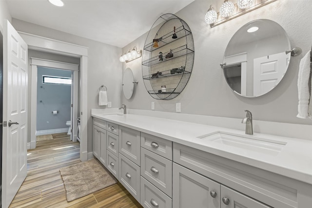 full bathroom featuring a sink, wood finish floors, toilet, and double vanity