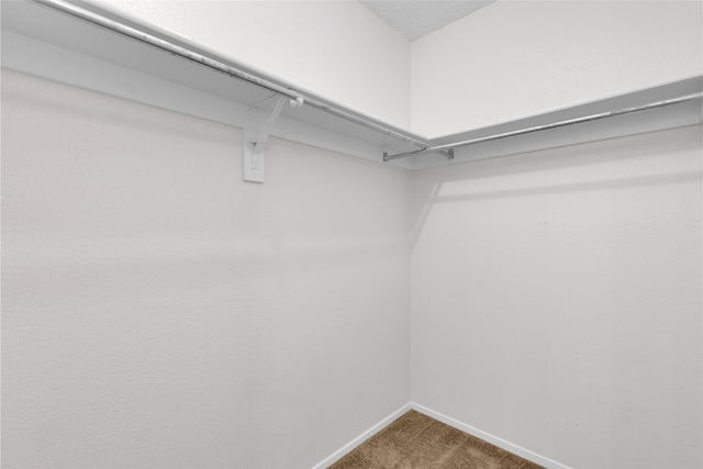 walk in closet with carpet flooring