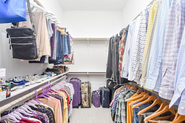 view of spacious closet