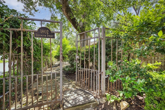 1802 Lexington St, Houston, TX 77098 - view of gate
