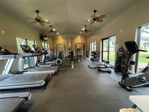 gym with a healthy amount of sunlight, lofted ceiling, and ceiling fan