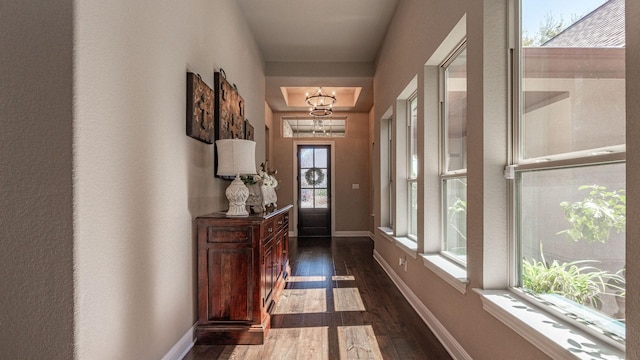 entryway with dark wood-type flooring, baseboards, and a chandelier