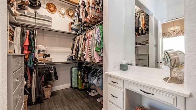 spacious closet featuring dark wood finished floors