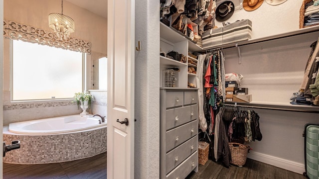 spacious closet featuring wood finished floors