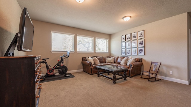 living room featuring light colored carpet, baseboards, and a textured ceiling