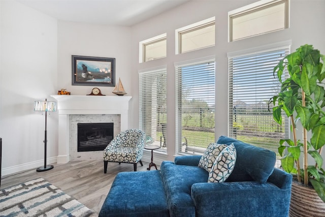 living room with wood finished floors, baseboards, and a premium fireplace