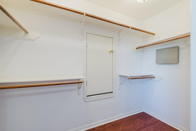 spacious closet with dark wood-type flooring